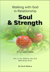 Cover DG 3WWG in Relationship - Soul & Strength 2018 for web